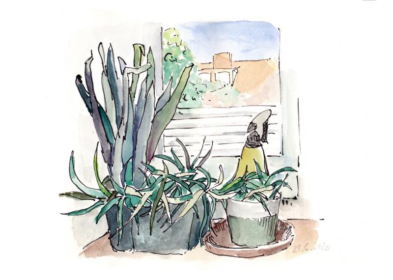 Sketch your Flowers!