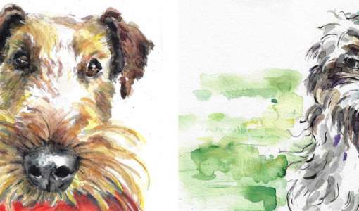 After Work: Tiere in Aquarell Basics
