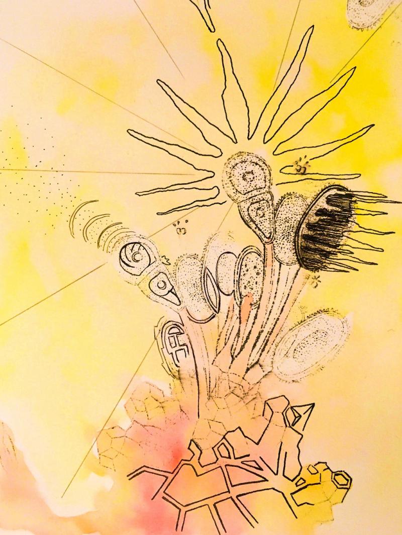 **Surreale Zeichnung: Frottage, Collage und phantastische Begegnungen auf Papier